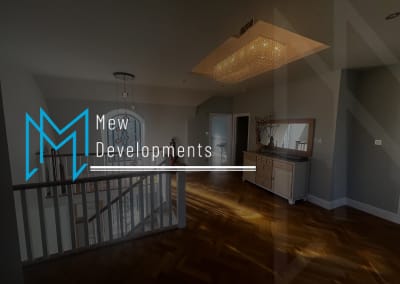 Mew Developments
